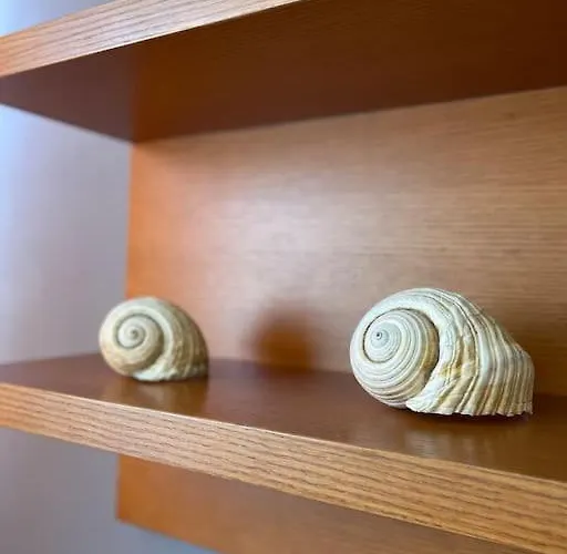 Air Albania Flat W/self Check In Apartment *